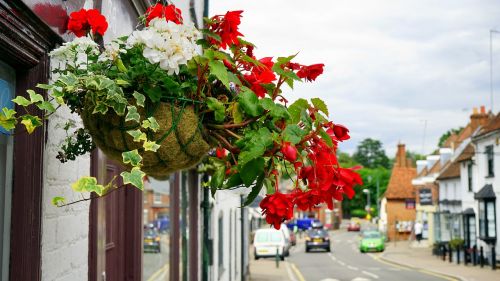 flowers street decoration