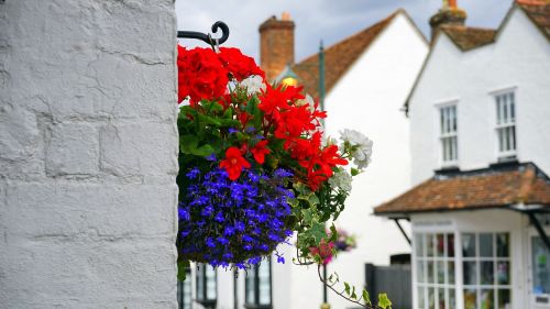 flowers street decoration