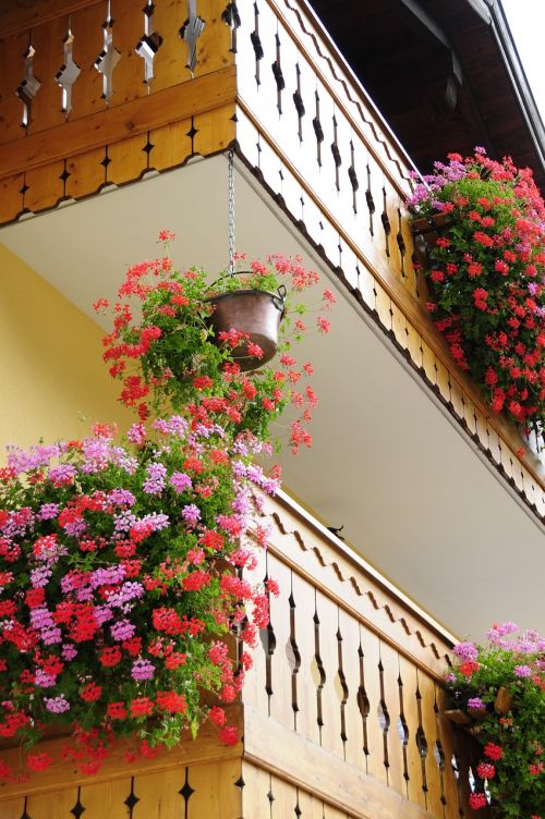 flowers balcony wood