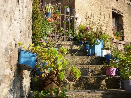 flowers summer stairs