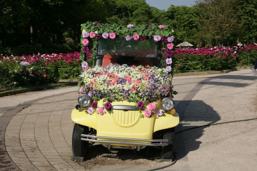 flowers car festival