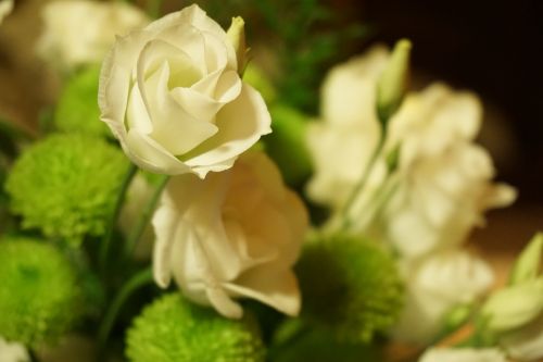 flowers bouquet composition