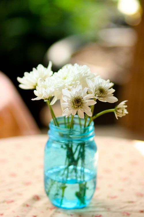 flowers fresh vasses