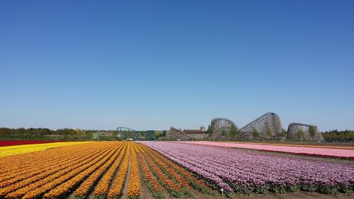 flowers roller coaster venlo