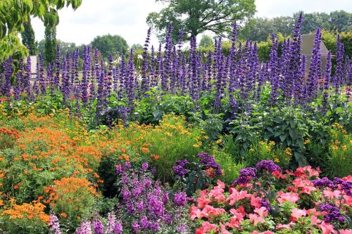 flowers plant bed