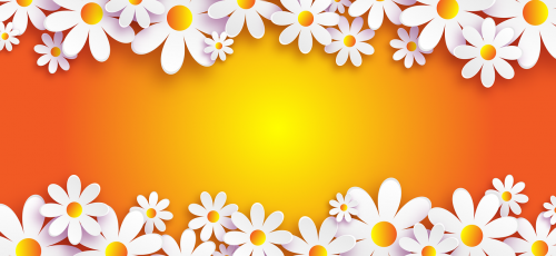 flowers chamomile symbol