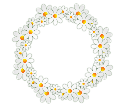 flowers daisy photo frame