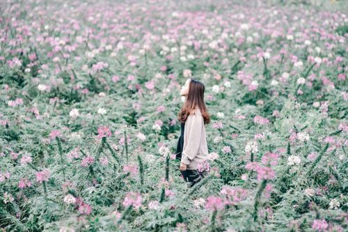 flowers girl lost