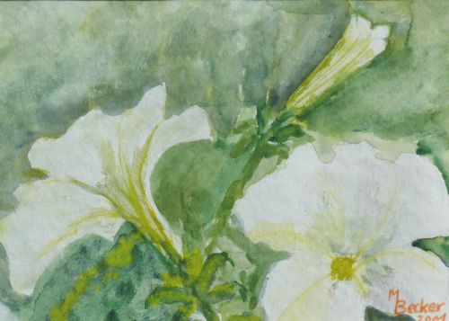 flowers nature painting