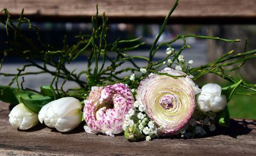 flowers ranunculus blossom