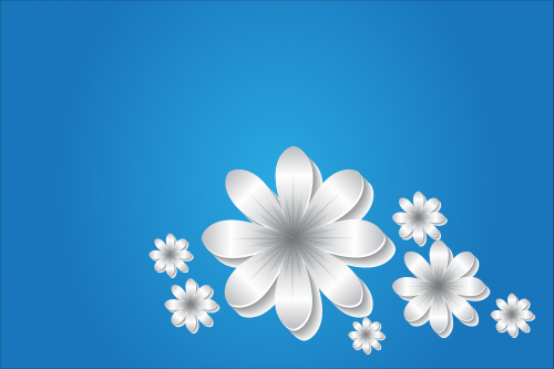 flowers background blue