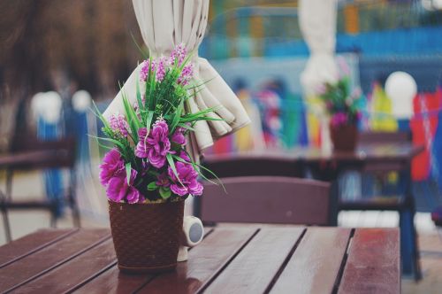 flowers café pot