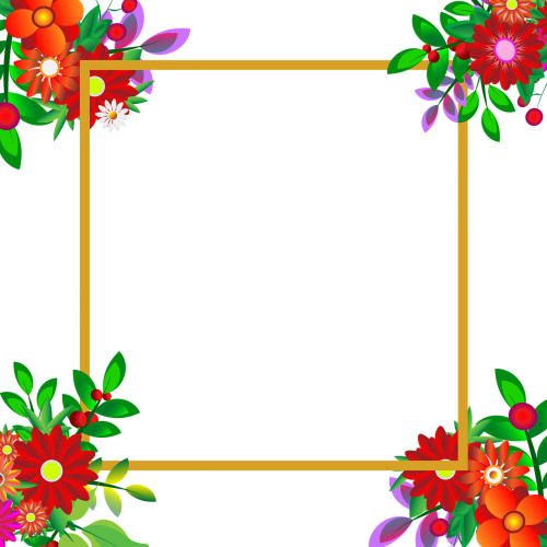 flowers photo frame transparent background