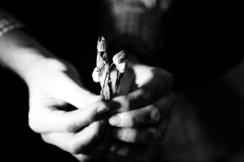 flowers hands miniature
