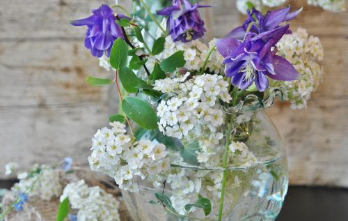 flowers flower vase chives