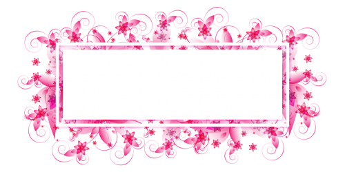 flowers pink photo frame