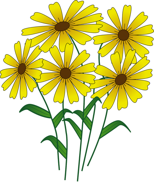 flowers yellow daisy