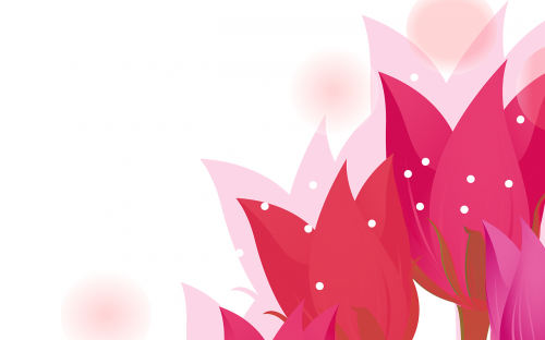 flowers abstract pink