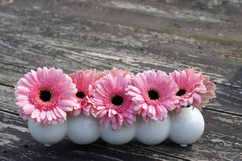 flowers gerbera background