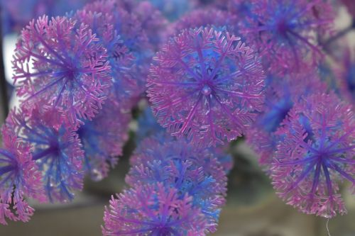 flowers crystals showpiece