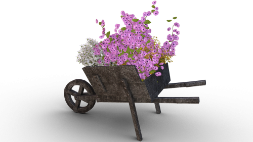 flowers cart pushing barrow