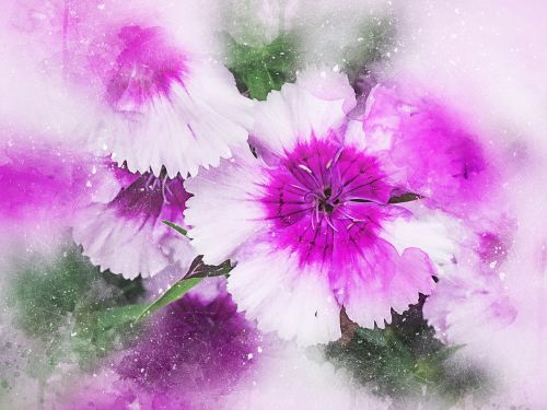 flowers purple art