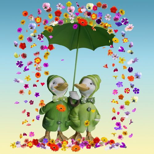 flowers flowers rain umbrella