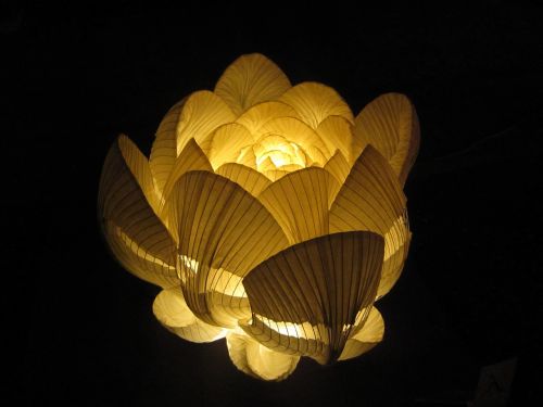 flowers lamp japanese paper