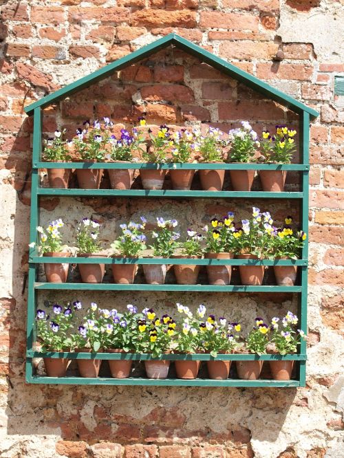 flowers garden shelves