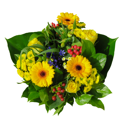 flowers bouquet isolated