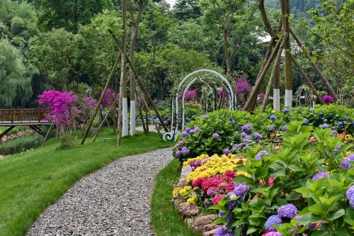 flowers hydrangea trail