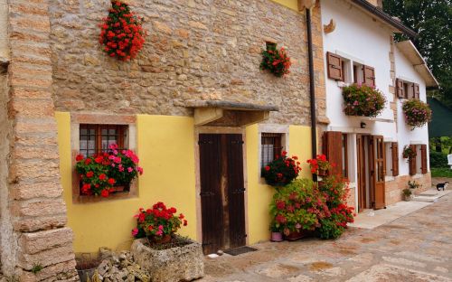 flowers window house