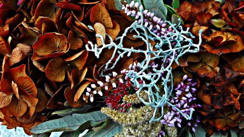 flowers foliage dry