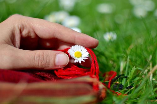 flowers hand fingers