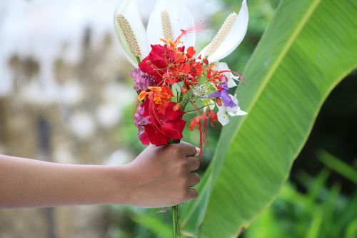 flowers natural beautiful