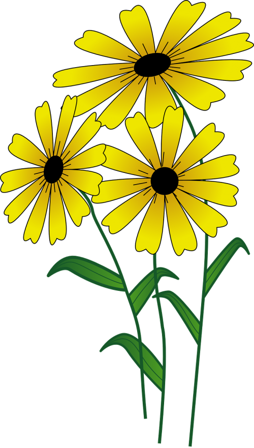 flowers yellow bright
