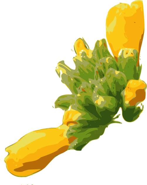 flowers yellow plant