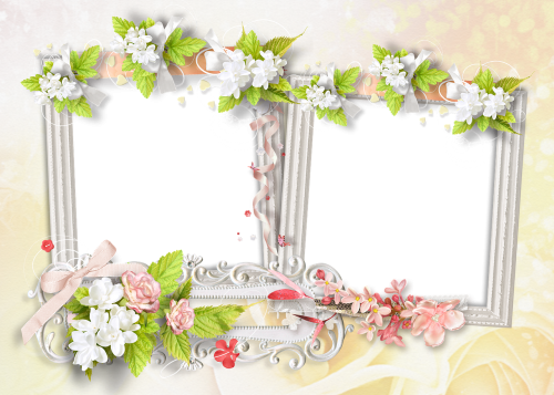 flowers photo frame