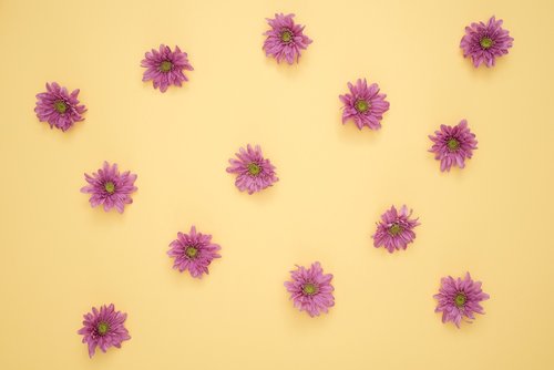 flowers  yellow  violet