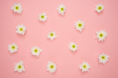 flowers  yellow  pink background