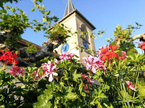 flowers  church  blue sky