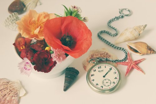 flowers  still life  clock