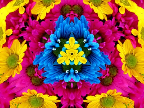 flowers  kaleidoscope  mandala
