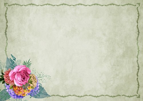 flowers  frame  background image