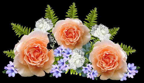 flowers  roses  arrangement