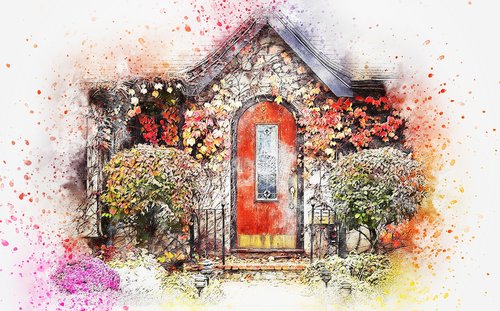 flowers  door  cottage