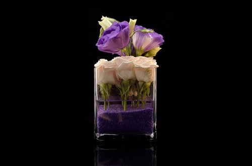 flowers  purple  vase