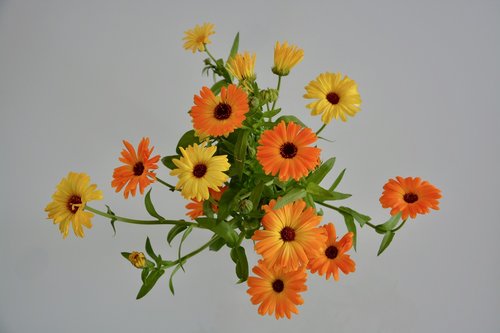 flowers  bouquet of flowers  orange-yellow color