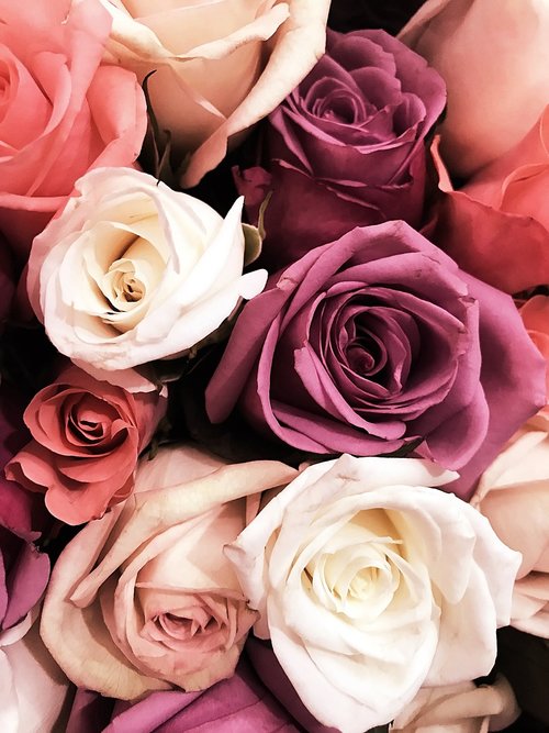 flowers  bouquet  pink