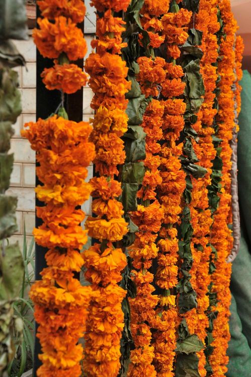 flowers garland decoration
